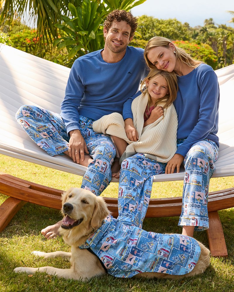 Dog Patchwork Santa Shirt & Harness Set