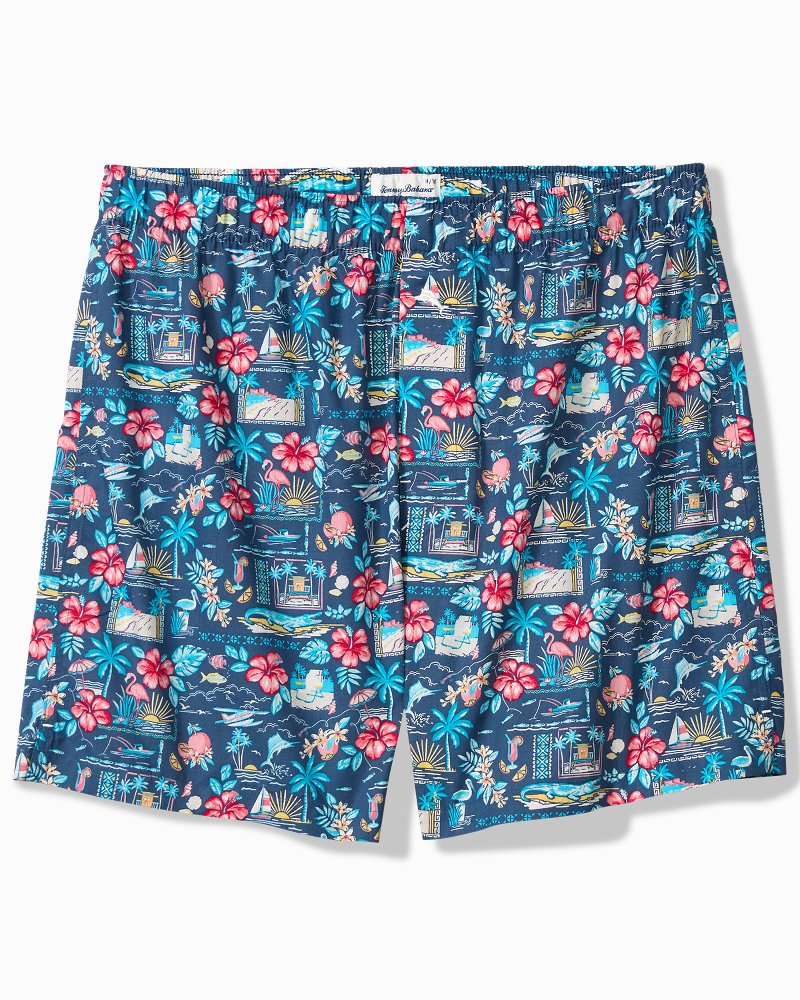 Big & Tall Woven Poplin Print Boxers