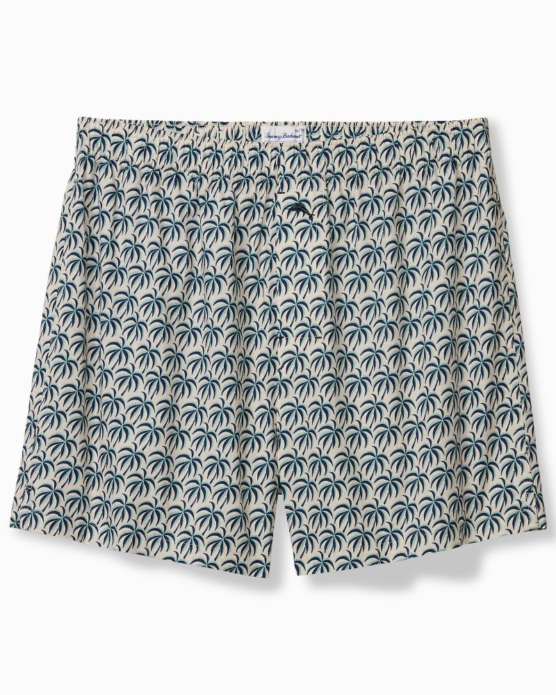 Woven Poplin Palm Blues Print Boxers
