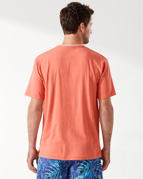 Big & Tall Short-Sleeve Crewneck T-Shirt
