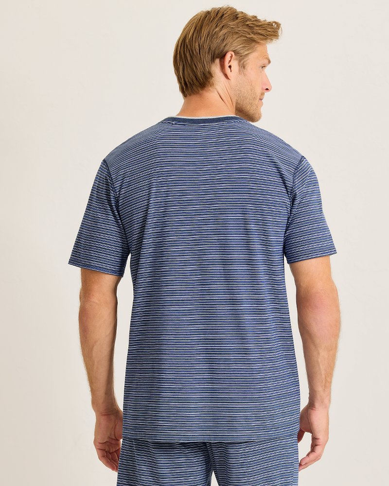 Big & Tall Jersey Short-Sleeve V-Neck T-Shirt