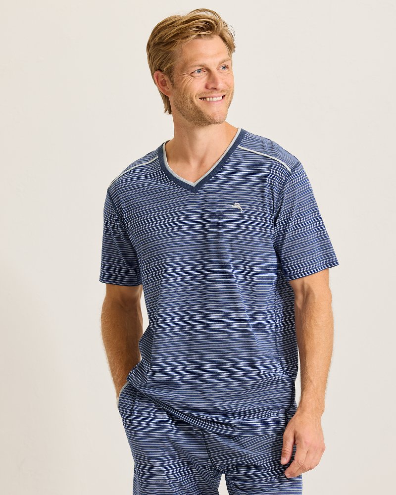 Big & Tall Jersey Short-Sleeve V-Neck T-Shirt