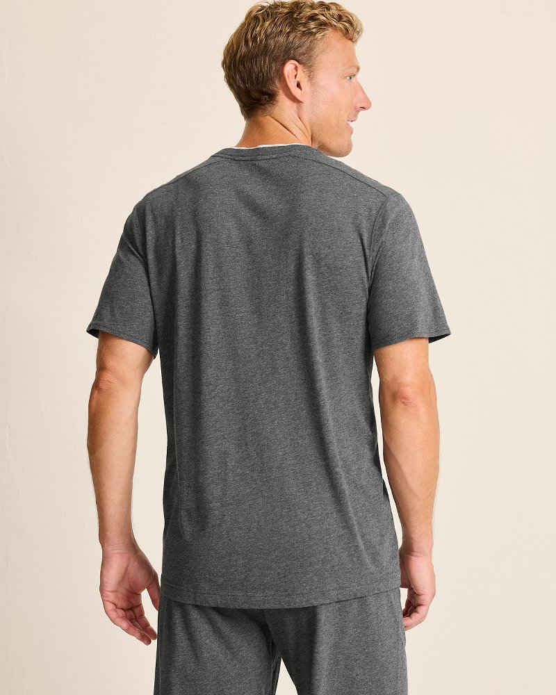 Big & Tall Jersey Short-Sleeve V-Neck T-Shirt