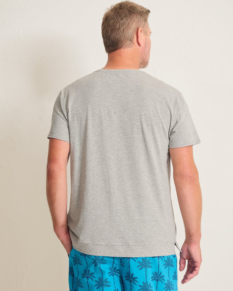 Big & Tall Jersey Short-Sleeve Crew T-Shirt
