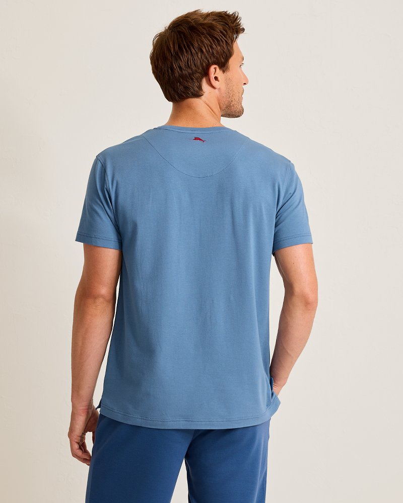 Big & Tall Solid Jersey Crew T-Shirt