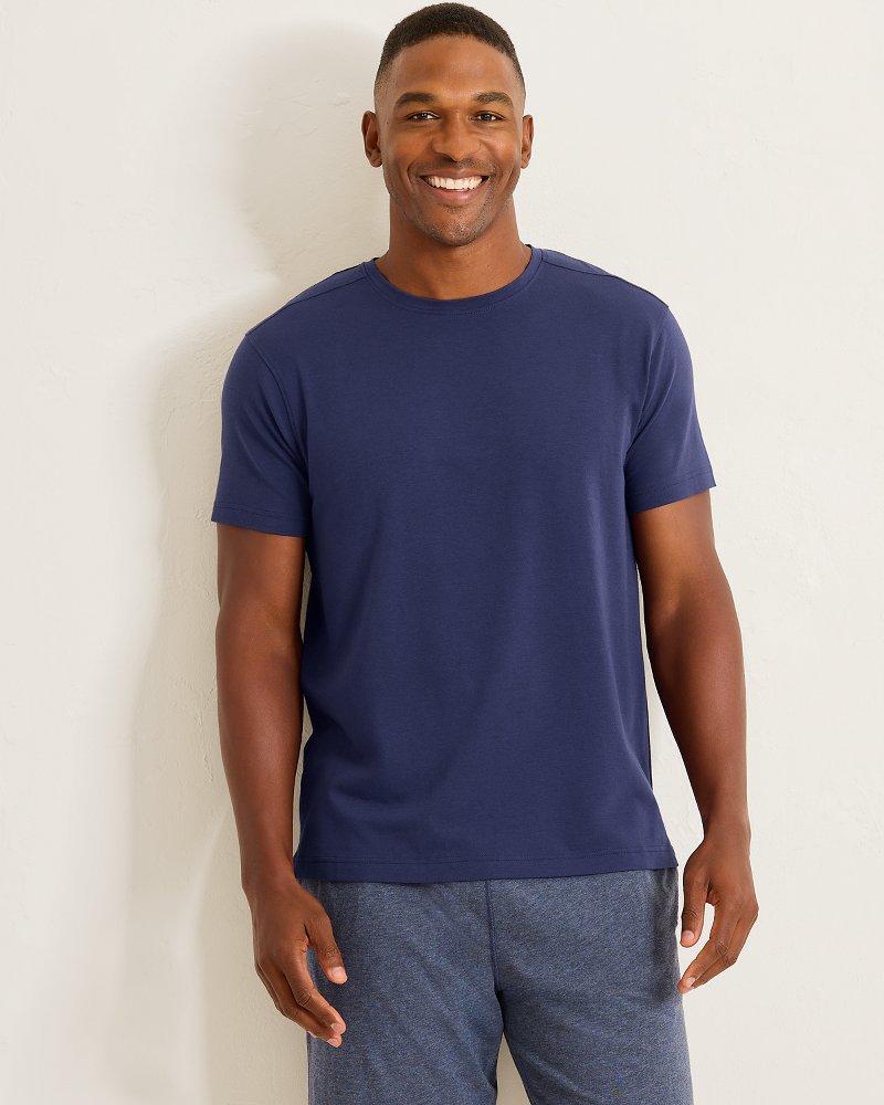 Big & Tall Solid Jersey Crew T-Shirt