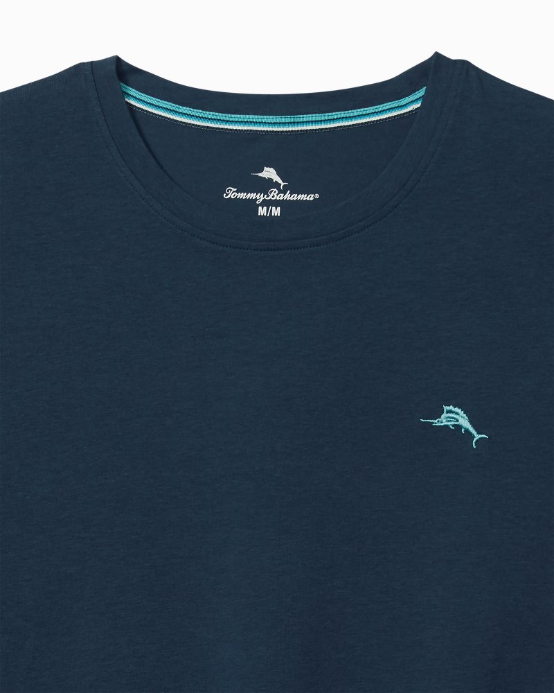 Big & Tall Solid Jersey Crew T-Shirt thumbnail 2