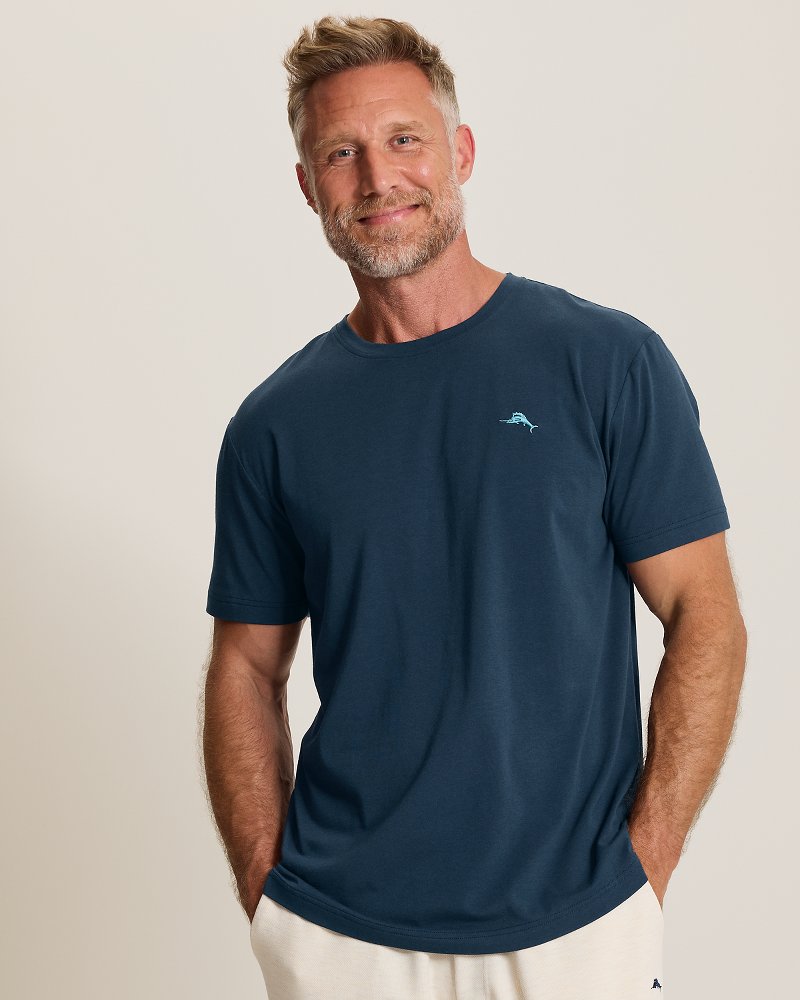 Big & Tall Solid Jersey Crew T-Shirt thumbnail 3