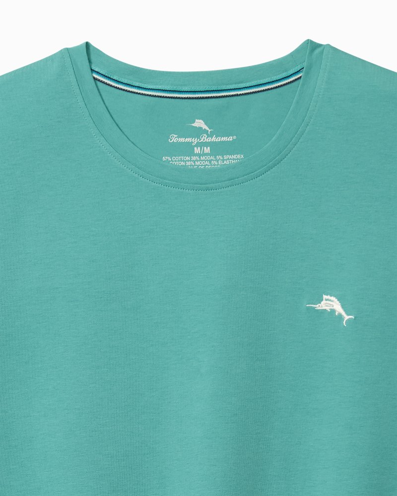 Big & Tall Solid Jersey Crew T-Shirt
