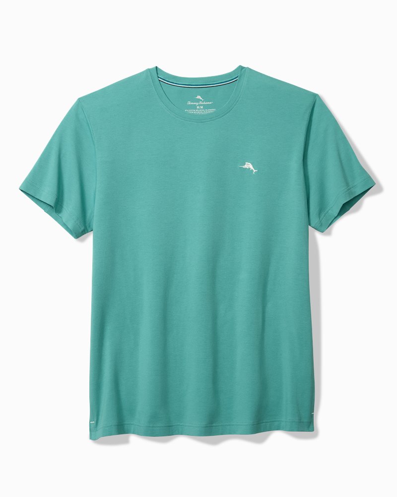 Big & Tall Solid Jersey Crew T-Shirt
