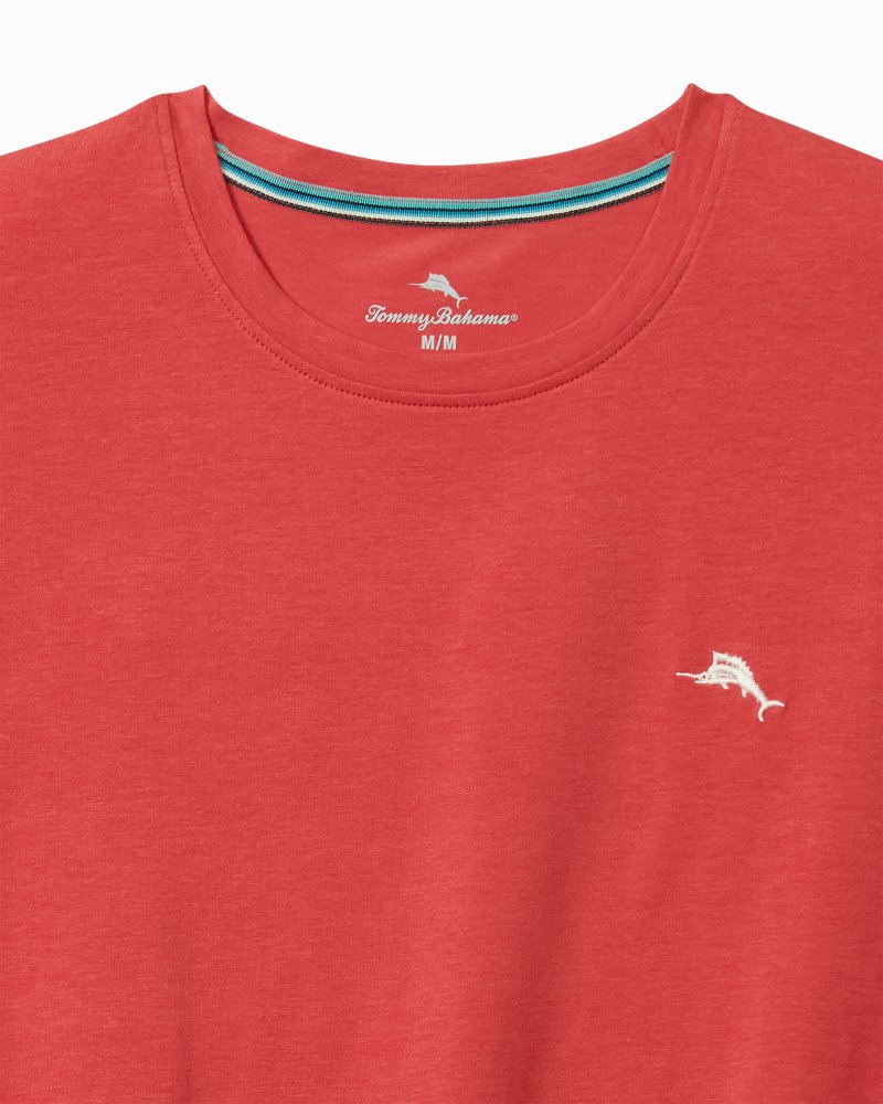 Big & Tall Solid Jersey Crew T-Shirt thumbnail 2
