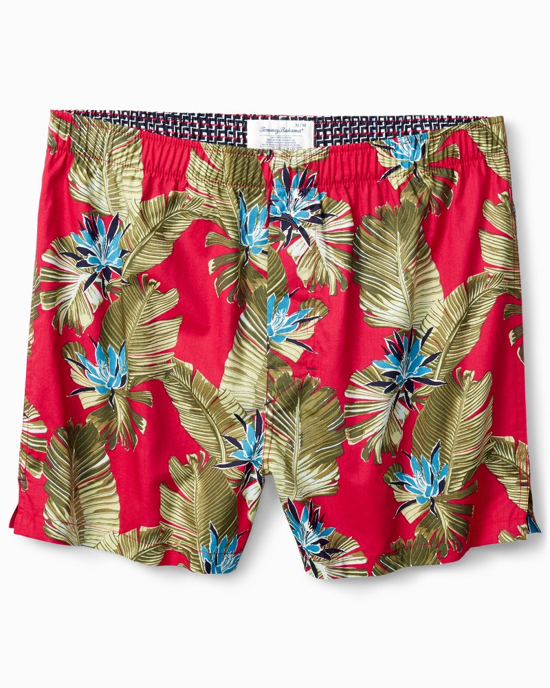 Tommy bahama boxers clearance sale