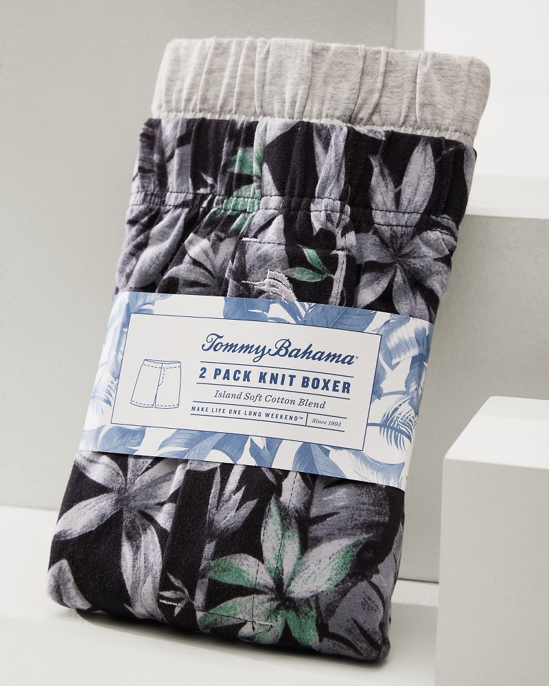 Big & Tall Print and Solid Knit Boxers — 2-Pack