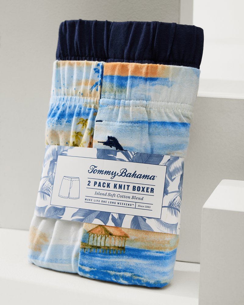 Print and Solid Knit Boxers — 2-Pack