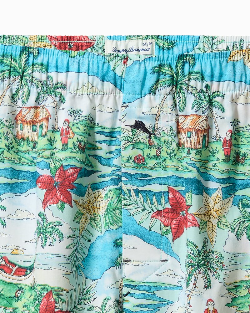 Big & Tall Woven Tropical Print Boxers