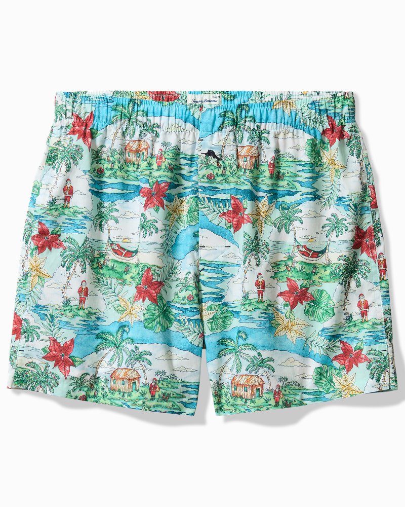 Big & Tall Woven Tropical Print Boxers