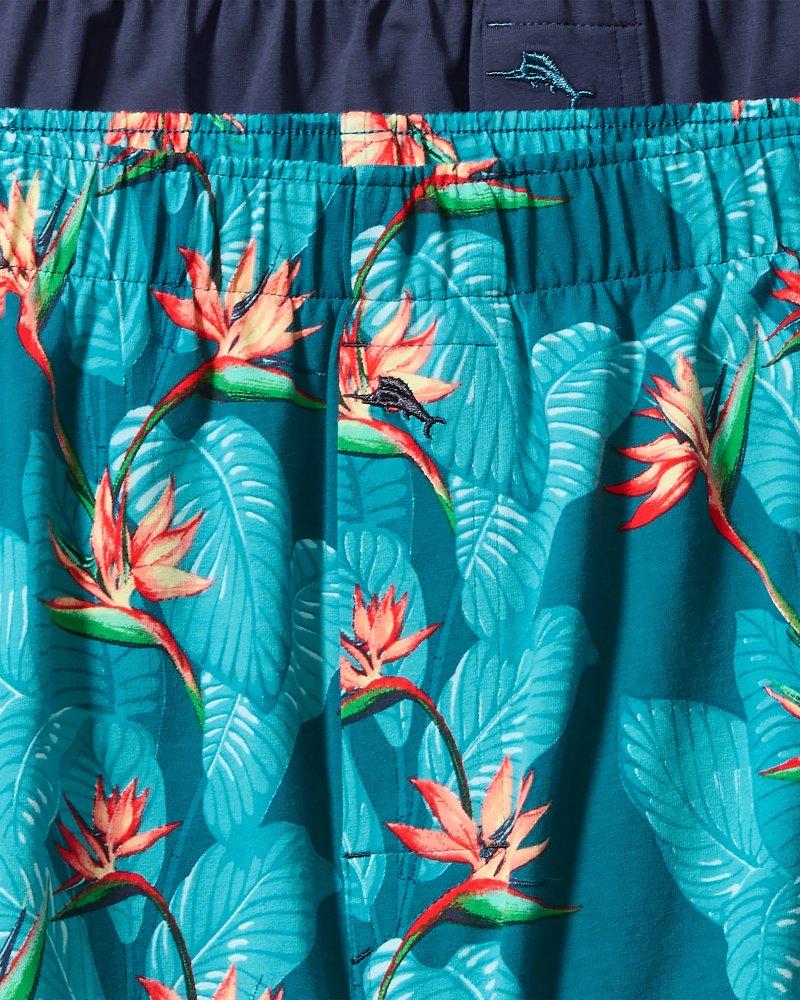 Big & Tall Tropical Print & Solid Knit Boxers—2-Pack