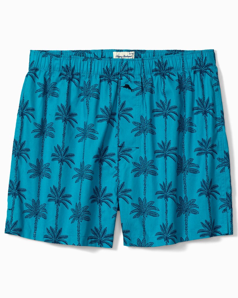 Big & Tall Woven Printed Poplin Boxers