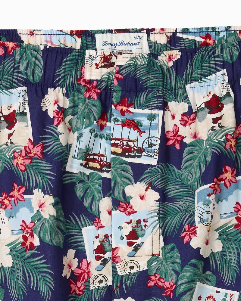 Big & Tall Woven Tropic Print Poplin Boxers