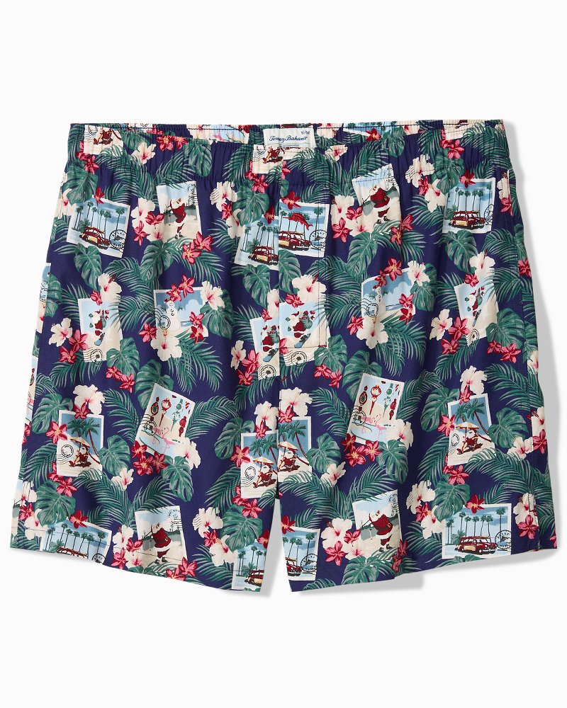 Big & Tall Woven Tropic Print Poplin Boxers