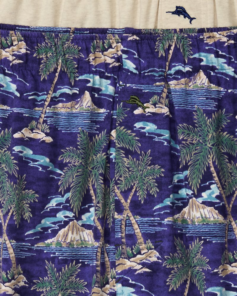 Etched Tropics Knit Boxers—2-Pack