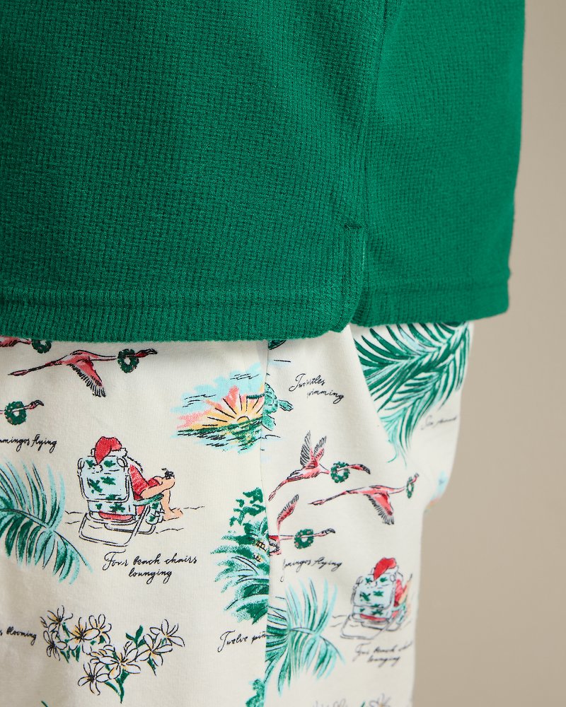 Big & Tall 12 Days of Paradise Short-Sleeve Top & Shorts Family Pajama Set