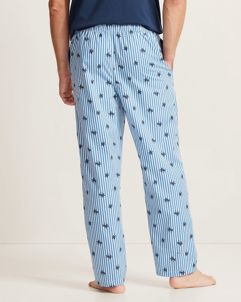 Big & Tall Woven Poplin Paradise Print Pants