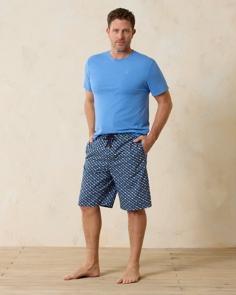 Big & Tall Short-Sleeve Shirt & Shorts Pajama Set