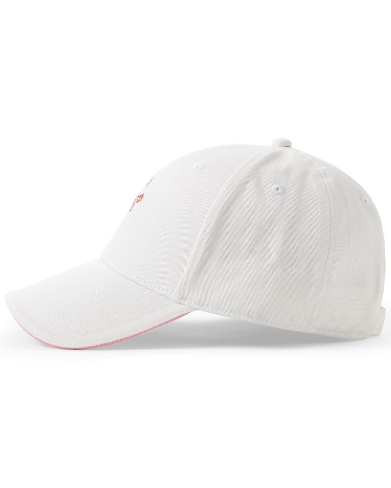 Thumbnail for The Sandy Cap