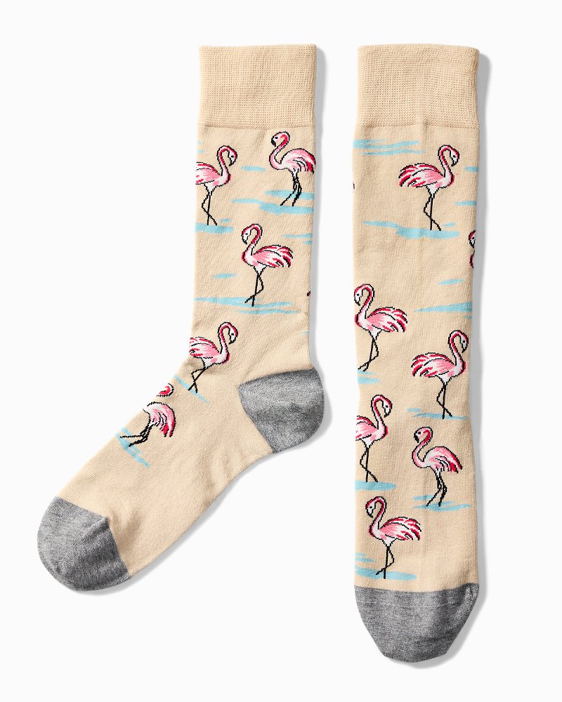 Tommy best sale bahama flamingo