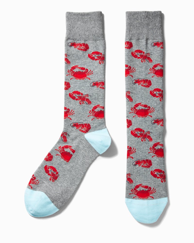 Tommy best sale bahama socks