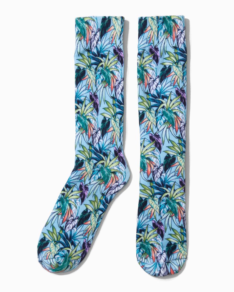 Tommy best sale bahama socks