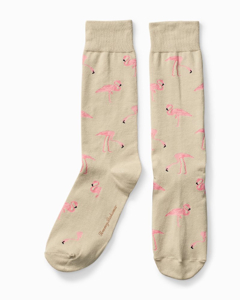 Tommy bahama hot sale socks