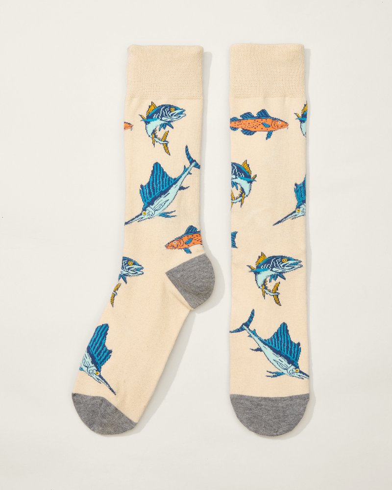 Tide & Seek Socks