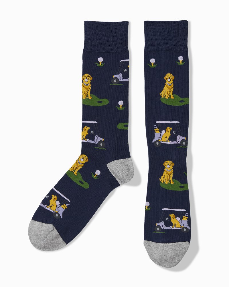 Paws-itively a Hole-in-One Socks