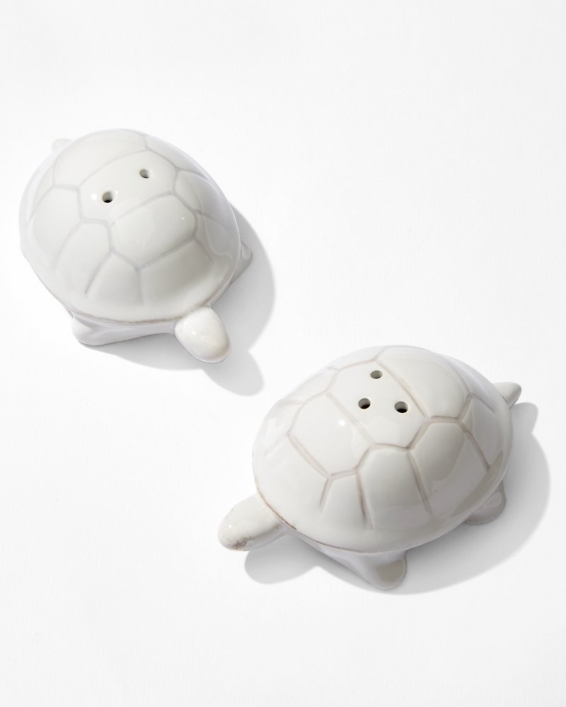 Salt & Pepper Turtles