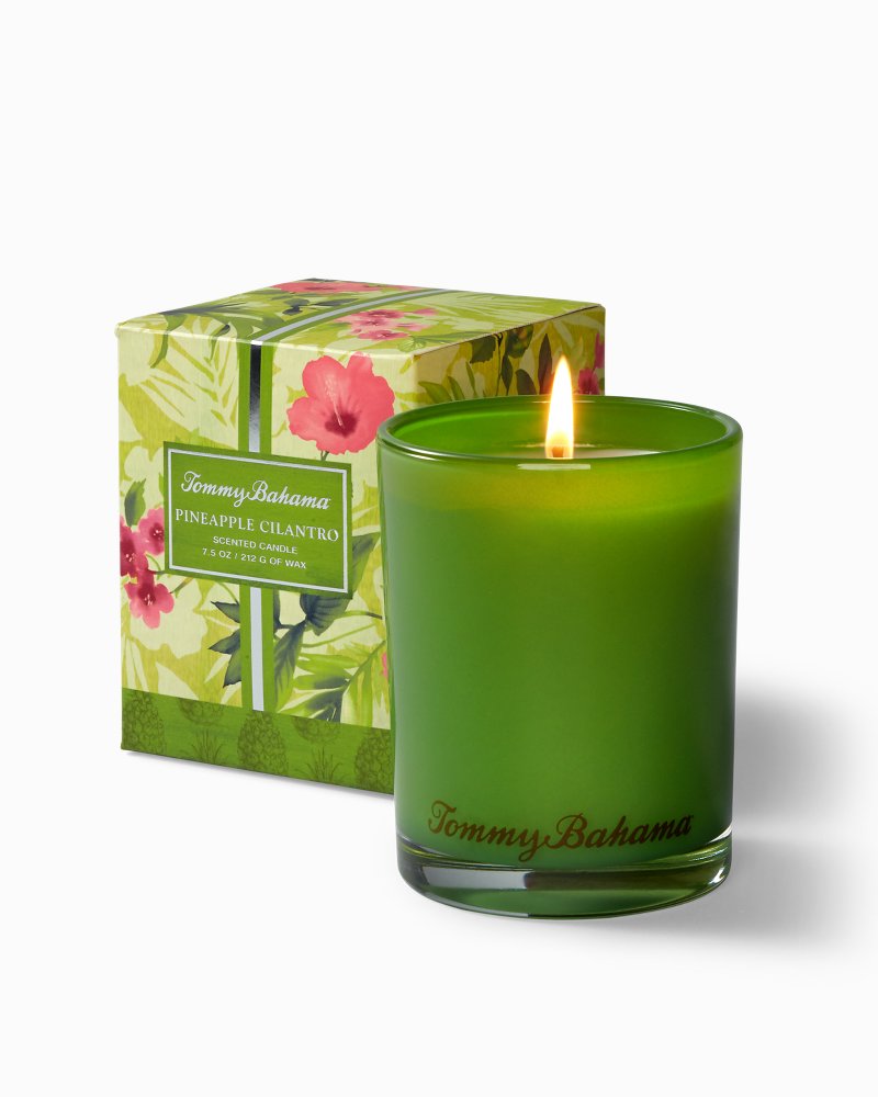 Paradise Blends Boxed Candle