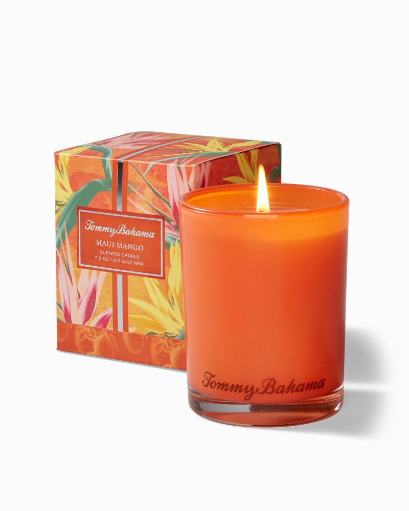 Paradise Blends Boxed Candle