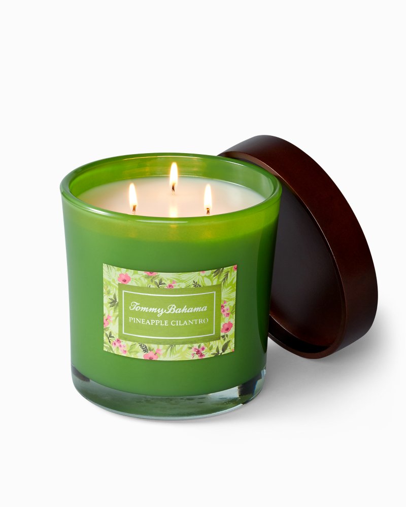 Paradise Blends 3-Wick Large Jar Candle