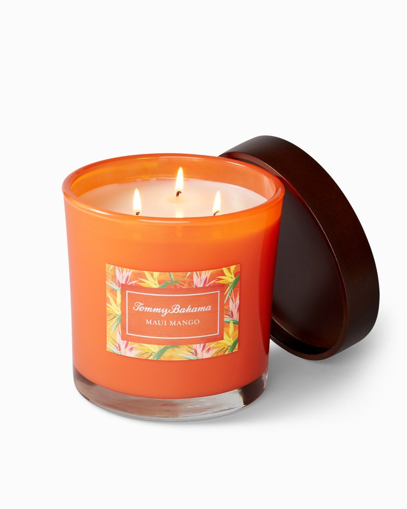Paradise Blends 3-Wick Large Jar Candle