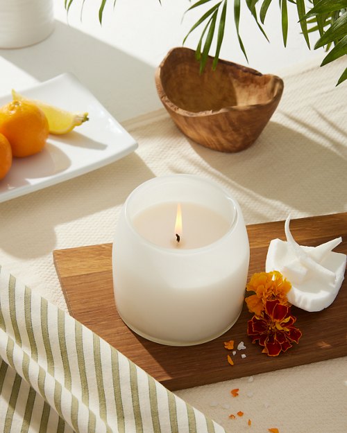 Coconut Oasis 11-oz. Frosted Glass Candle