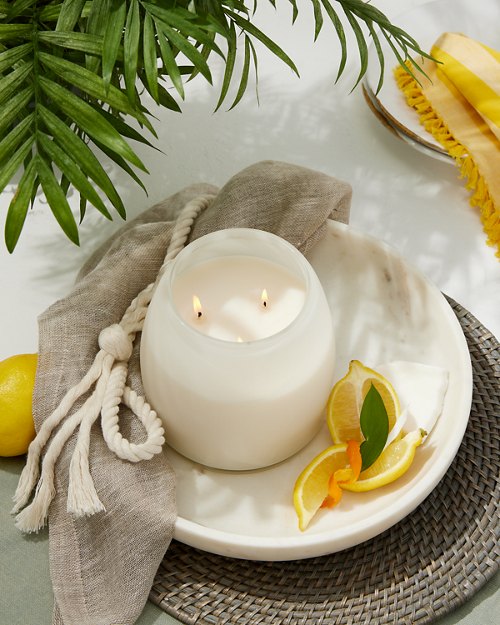 Coconut Oasis 32-oz. Frosted Glass Candle