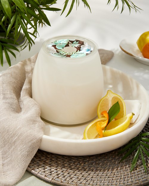 Coconut Oasis 32-oz. Frosted Glass Candle