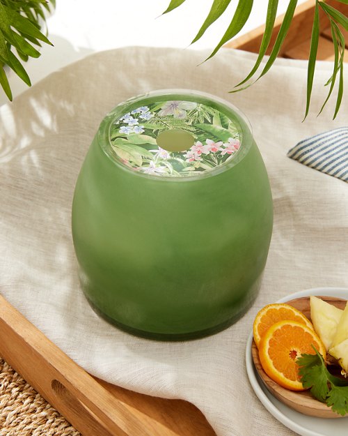 Pineapple Cilantro 32-oz. Frosted Glass Candle