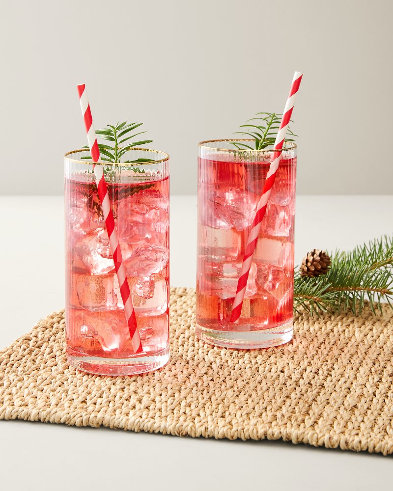 Optic Highball Glasses - Set of 2
