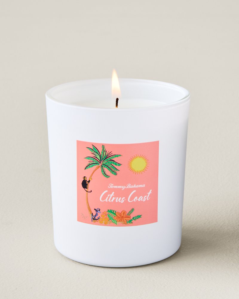 Destination Florida Citrus Coast 5-oz. 2-Wick Candle