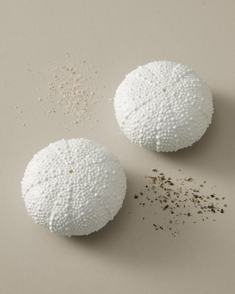 Sea Urchin Salt & Pepper Set