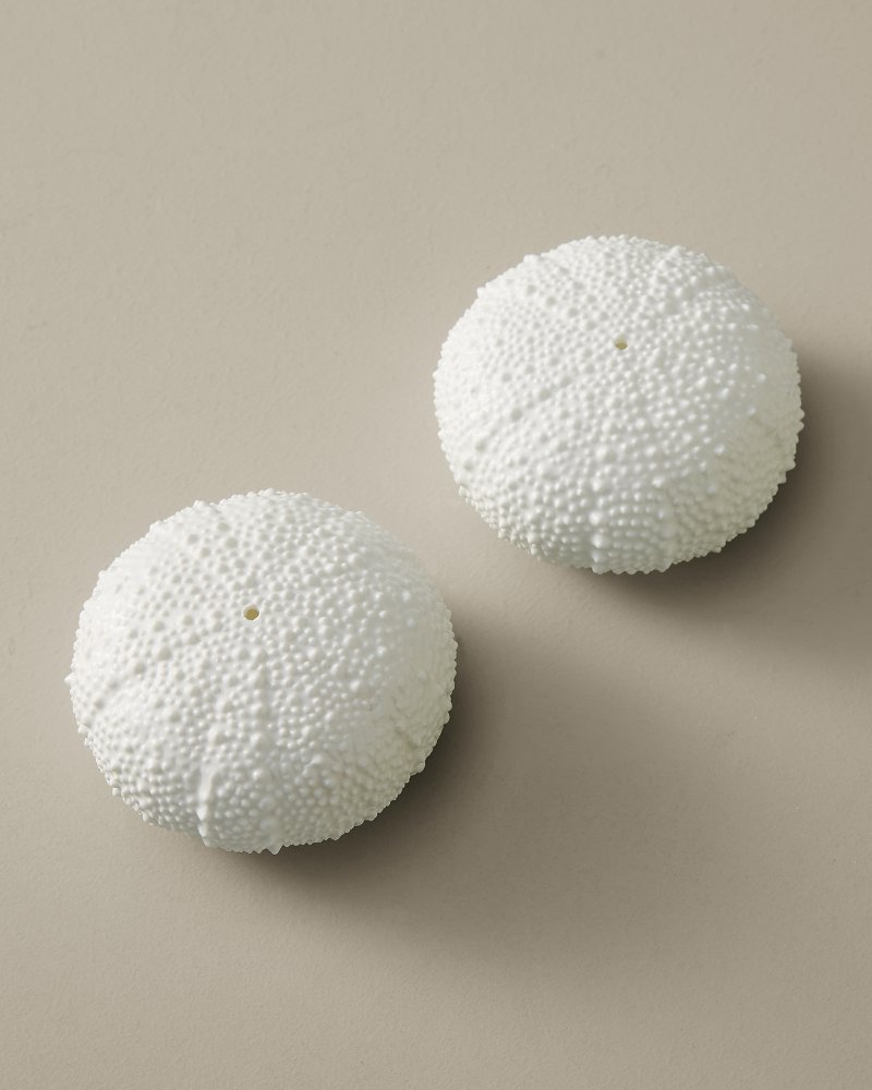 Sea Urchin Salt & Pepper Set