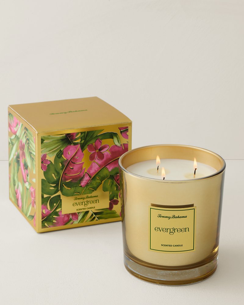 Evergreen Gold 3-Wick 20-oz. Candle