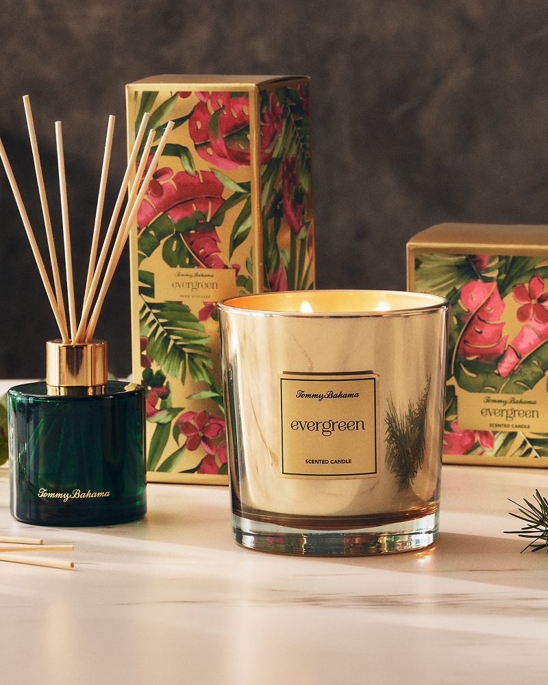 Evergreen Gold 3-Wick 20-oz. Candle
